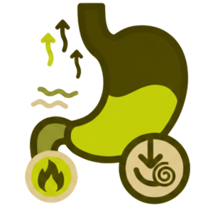 Digestive Health (Gas, Acidity & Indigestion)